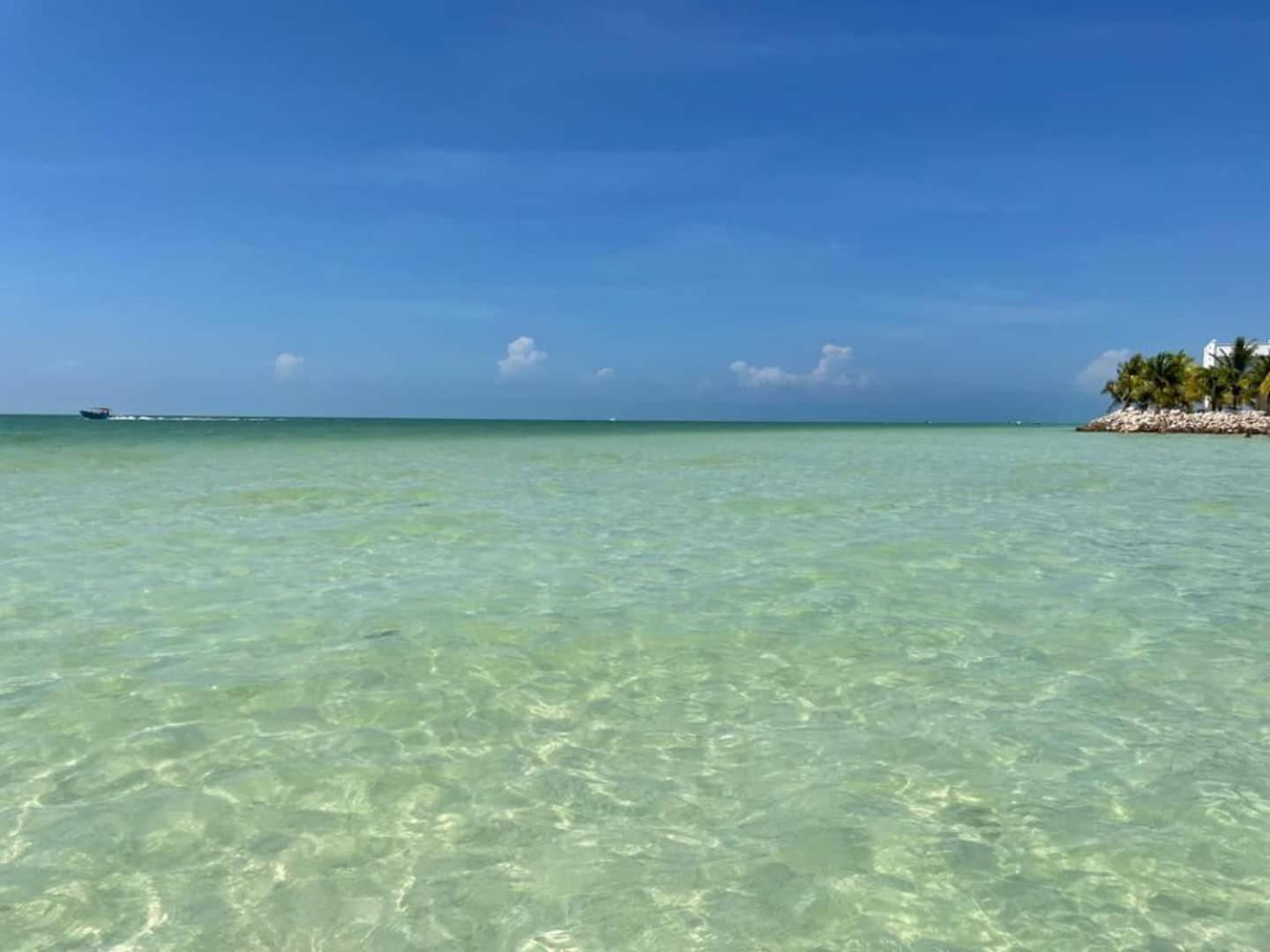 Isla Holbox Pool View Loft Steps From The Ocean In Punta Cocos - C101酒店 外观 照片