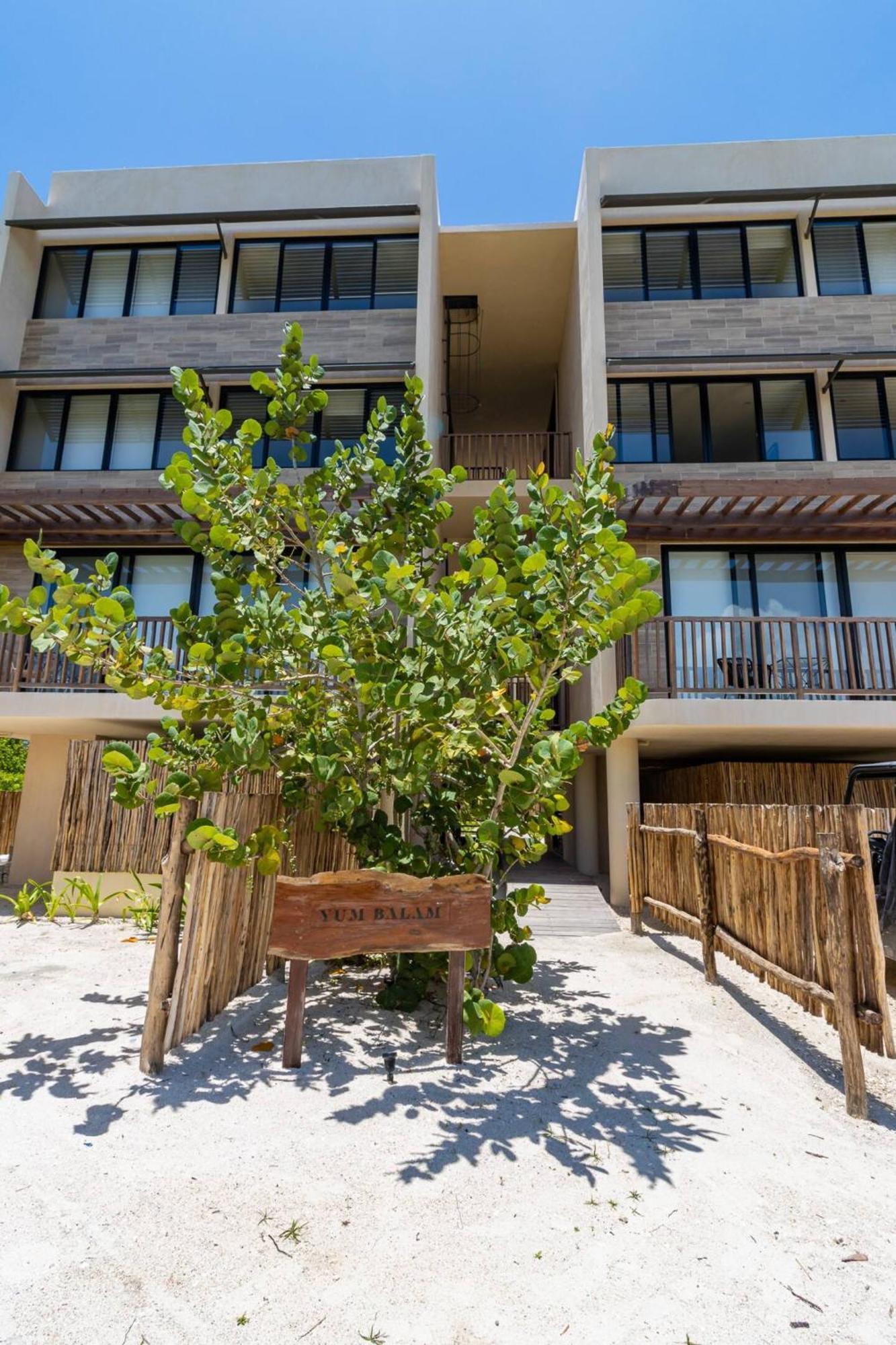 Isla Holbox Pool View Loft Steps From The Ocean In Punta Cocos - C101酒店 外观 照片